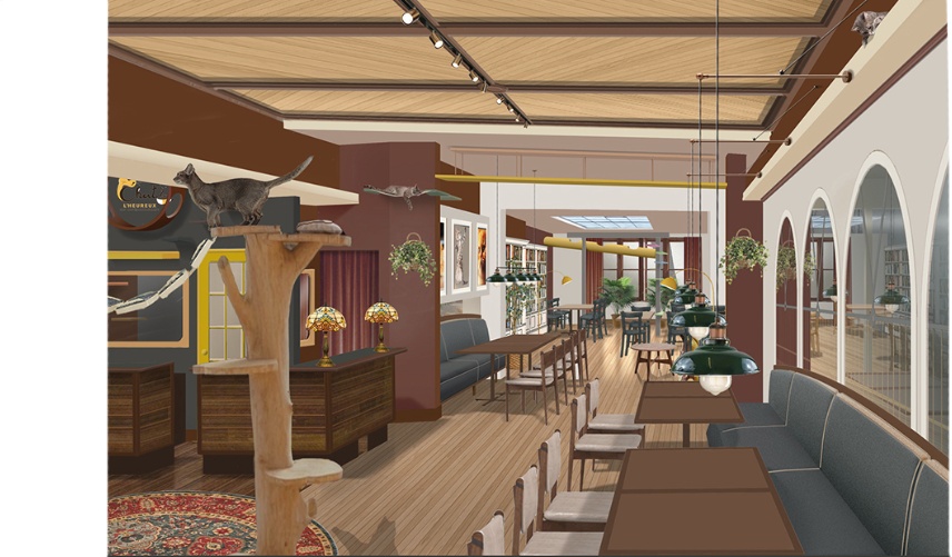 Design intérieur Le Village (Ville-Marie) — Café Chat L'Heureux